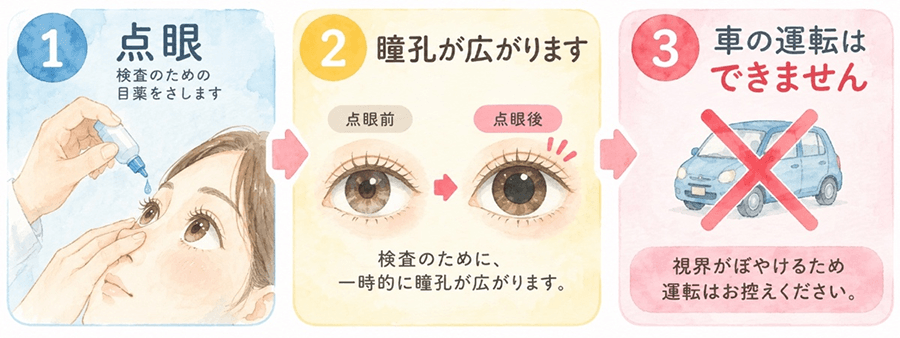 1.点眼→2.瞳孔が広がります→3.車の運転はできません
