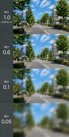 視力による見え方の違い